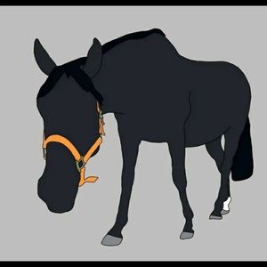 Meet your Posher, Ash